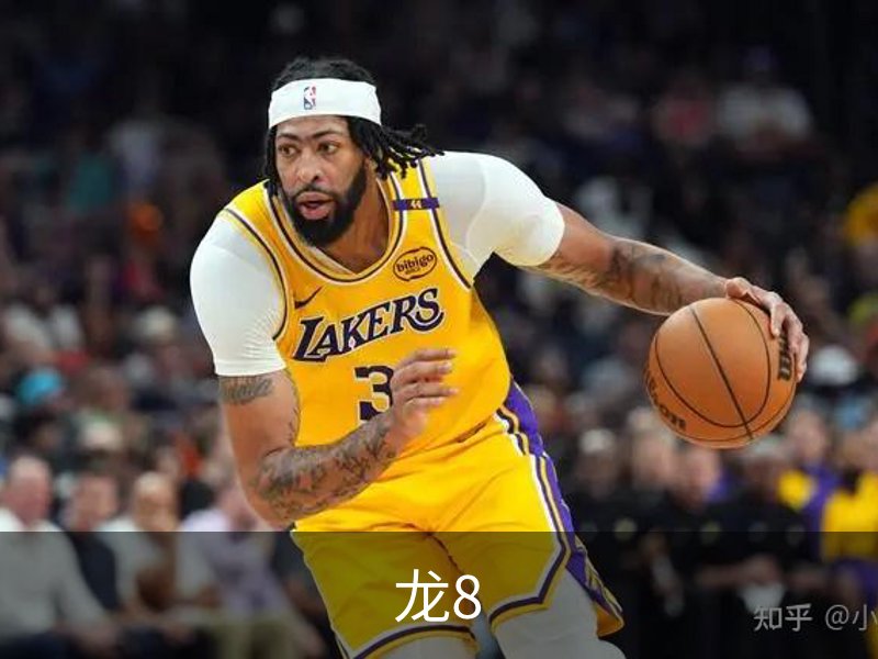 了解龙8